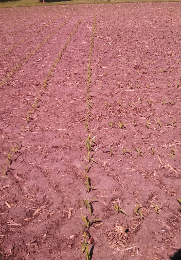 ExactEmerge Section Control