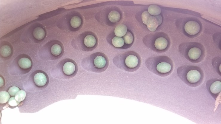 Small Bean Seed Overplanting 5-6%