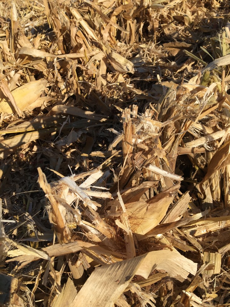 John Deere RowMax Stalk Rolls